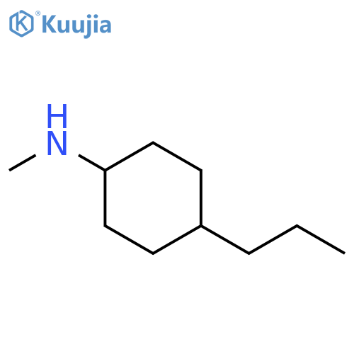 N-methyl-4-propylcyclohexan-1-amine structure