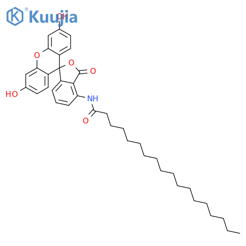 Octadecanamide,N-(3',6'-dihydroxy-3-oxospiro[isobenzofuran-1(3H),9'-[9H]xanthen]-5-yl)- structure