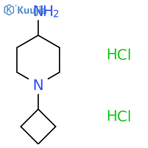 1-cyclobutylpiperidin-4-amine dihydrochloride structure