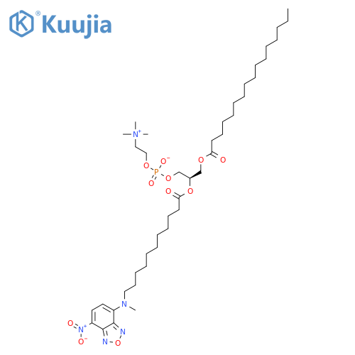 1,3,5-Triazine-2,4-diamine,6-chloro-N4-octyl-N2,N2-di-2-propen-1-yl- structure