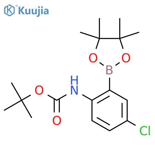 Tert-butyl 4-chloro-2-(4,4,5,5-tetramethyl-1,3,2-dioxaborolan-2-yl)phenyl-carbamate structure