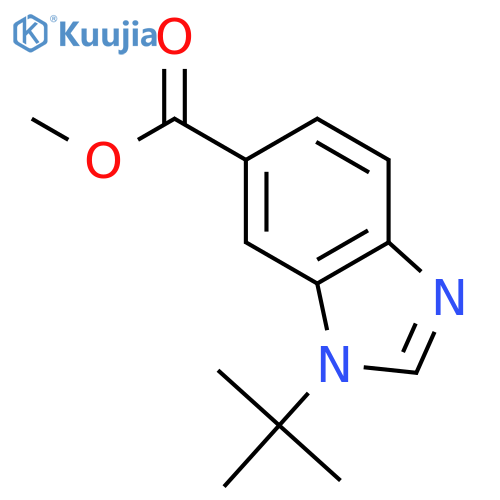 Methyl 1-tert-Butyl-1H-benzodimidazole-6-carboxylate structure