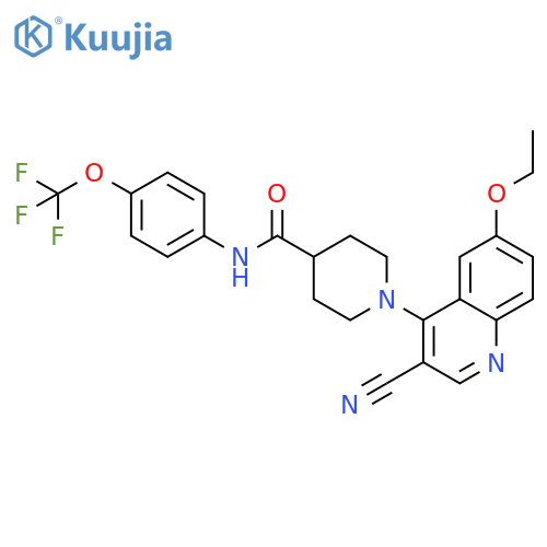 1-(3-cyano-6-ethoxyquinolin-4-yl)-N-[4-(trifluoromethoxy)phenyl]piperidine-4-carboxamide structure