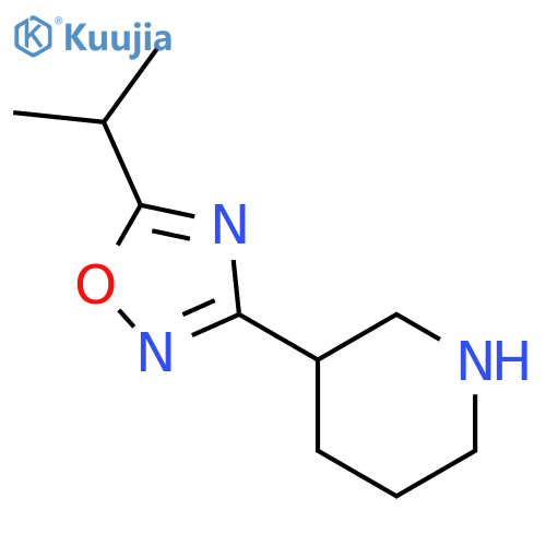 5-ISOPROPYL-3-(PIPERIDIN-3-YL)-1,2,4-OXADIAZOLE structure
