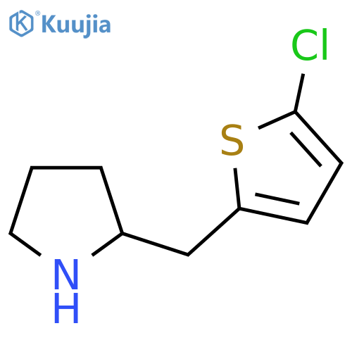 2-(5-chlorothiophen-2-yl)methylpyrrolidine structure