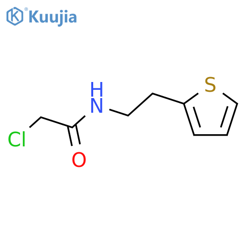 2-chloro-N-[2-(thiophen-2-yl)ethyl]acetamide structure