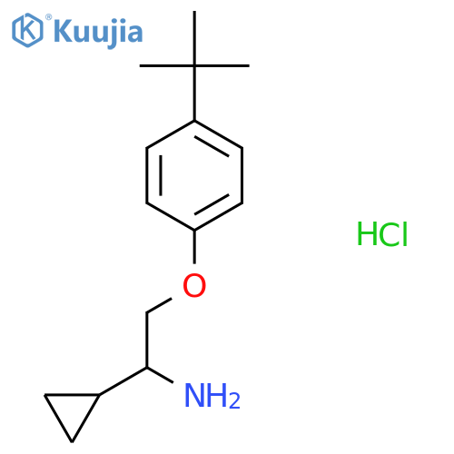 2-(4-tert-Butylphenoxy)-1-cyclopropylethyl-amine Hydrochloride structure