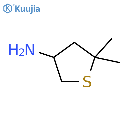5,5-dimethylthiolan-3-amine structure