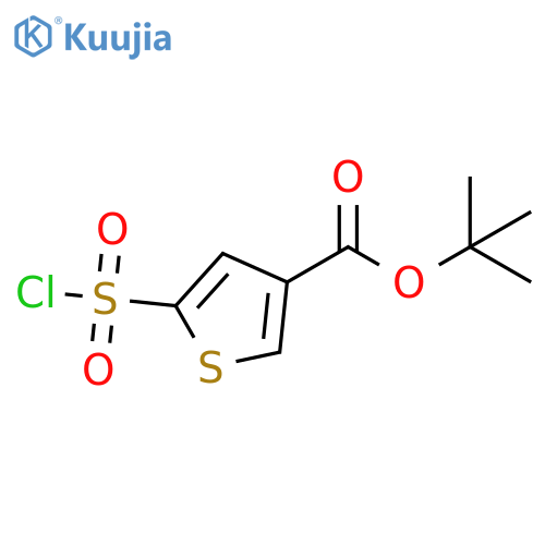 tert-butyl 5-(chlorosulfonyl)thiophene-3-carboxylate structure