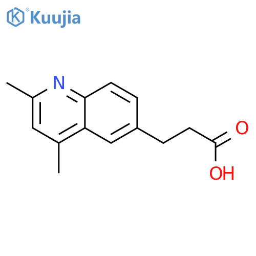3-(2,4-Dimethylquinolin-6-yl)propanoic acid structure