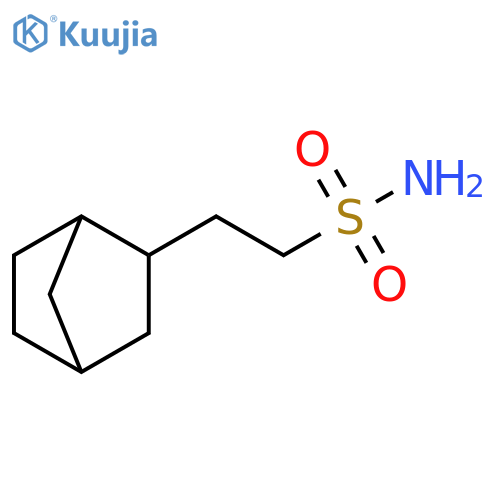 2-{bicyclo2.2.1heptan-2-yl}ethane-1-sulfonamide structure