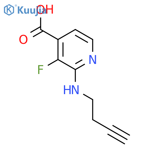 2-(but-3-yn-1-yl)amino-3-fluoropyridine-4-carboxylic acid structure