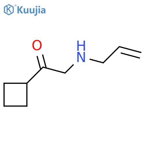1-Cyclobutyl-2-[(prop-2-en-1-yl)amino]ethan-1-one structure