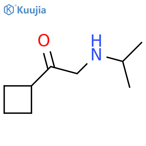 1-Cyclobutyl-2-[(propan-2-yl)amino]ethan-1-one structure