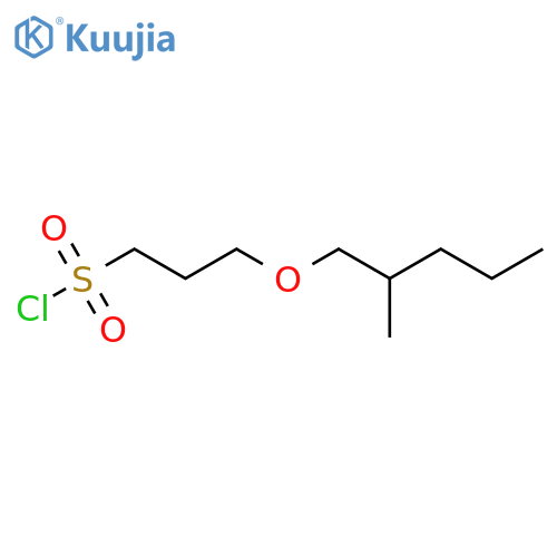 3-(2-methylpentyl)oxypropane-1-sulfonyl chloride structure