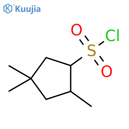 2,4,4-trimethylcyclopentane-1-sulfonyl chloride structure