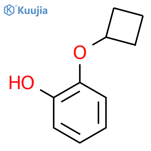 2-Cyclobutoxyphenol structure