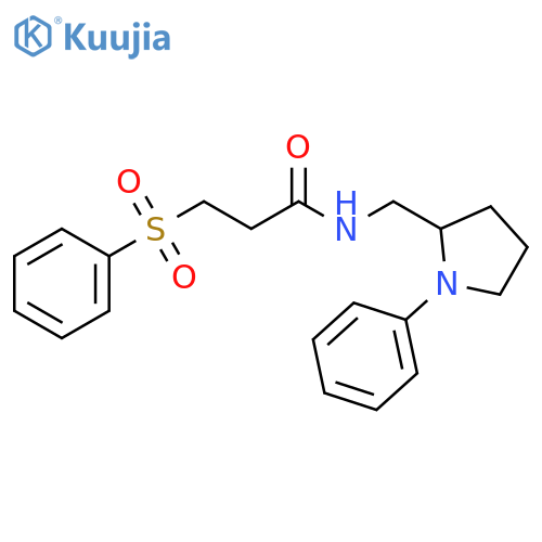 3-(benzenesulfonyl)-N-[(1-phenylpyrrolidin-2-yl)methyl]propanamide structure