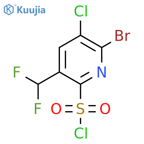2-Bromo-3-chloro-5-(difluoromethyl)pyridine-6-sulfonyl chloride structure