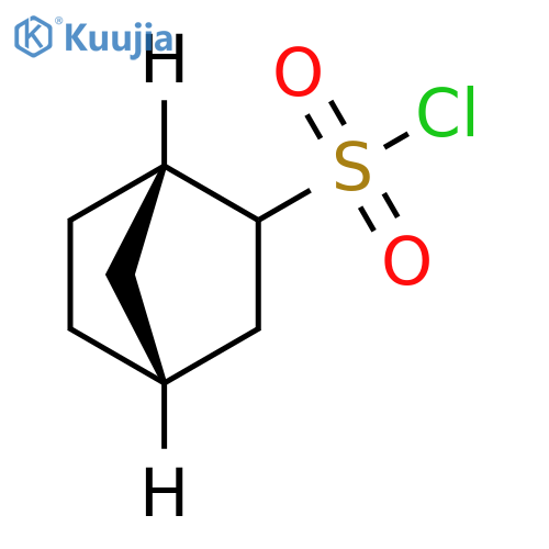 Bicyclo[2.2.1]heptane-2-sulfonyl chloride, (1S,4R)- structure