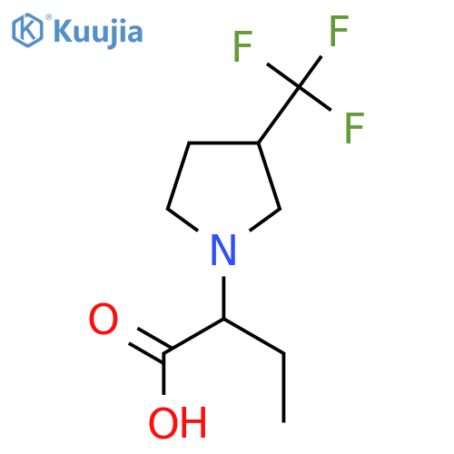 2-(3-(Trifluoromethyl)pyrrolidin-1-yl)butanoic acid structure