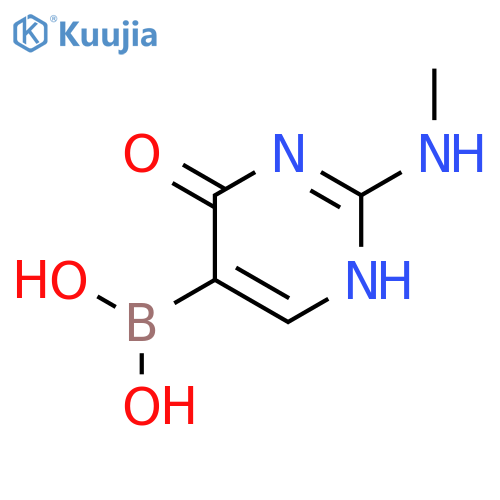 2-(methylamino)-6-oxo-1,6-dihydropyrimidin-5-ylboronic acid structure