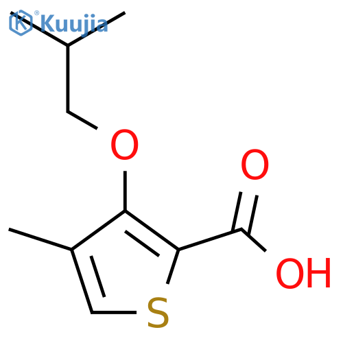 3-Isobutoxy-4-methylthiophene-2-carboxylic acid structure