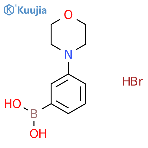 3-Morpholinophenylboronic acid hydrobromide structure