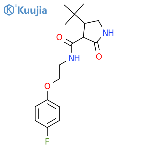 4-tert-butyl-N-[2-(4-fluorophenoxy)ethyl]-2-oxopyrrolidine-3-carboxamide structure