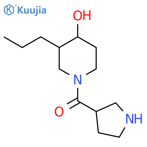 (4-Hydroxy-3-propylpiperidin-1-yl)(pyrrolidin-3-yl)methanone structure