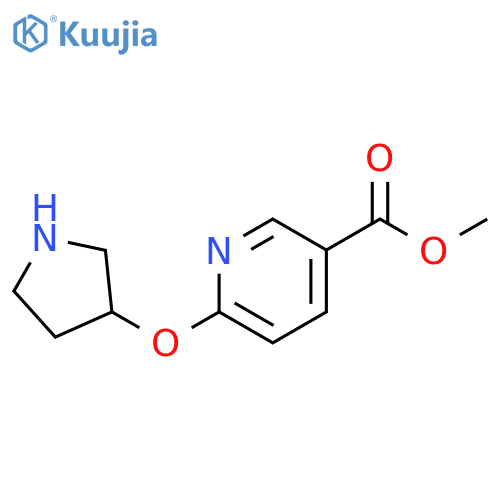 methyl 6-(pyrrolidin-3-yloxy)pyridine-3-carboxylate structure