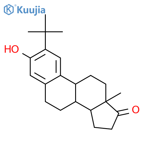 2-tert-Butylestrone structure