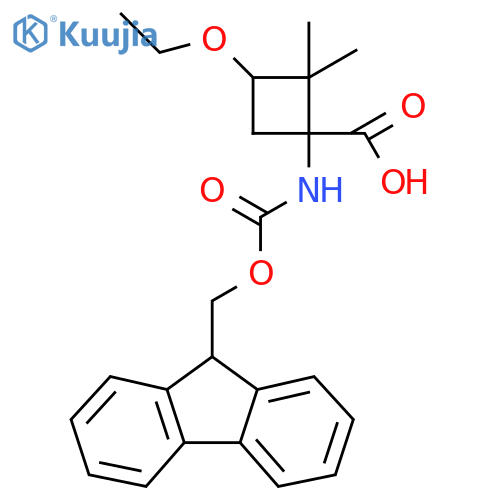 3-Ethoxy-1-(9H-fluoren-9-ylmethoxycarbonylamino)-2,2-dimethylcyclobutane-1-carboxylic acid structure