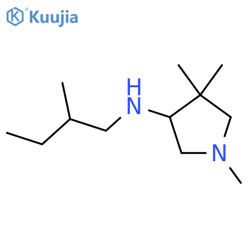 1,4,4-trimethyl-N-(2-methylbutyl)pyrrolidin-3-amine structure
