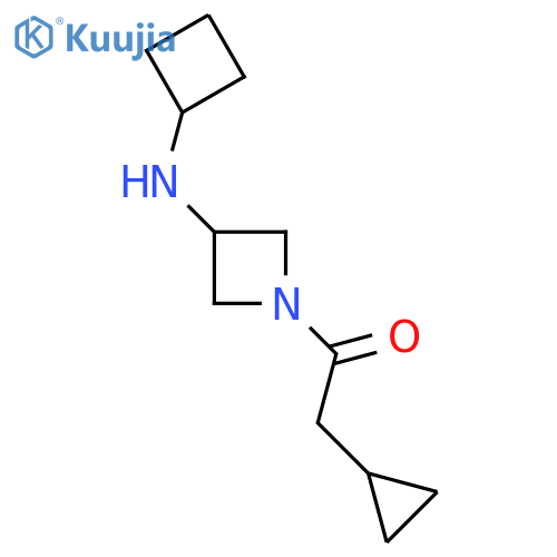 1-[3-(Cyclobutylamino)azetidin-1-yl]-2-cyclopropylethan-1-one structure