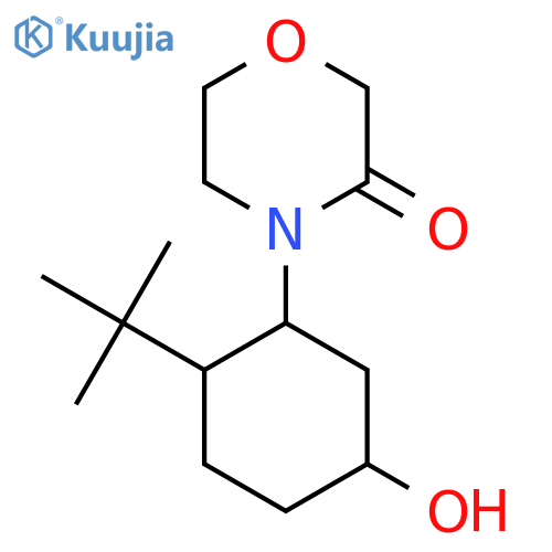 4-(2-Tert-butyl-5-hydroxycyclohexyl)morpholin-3-one structure