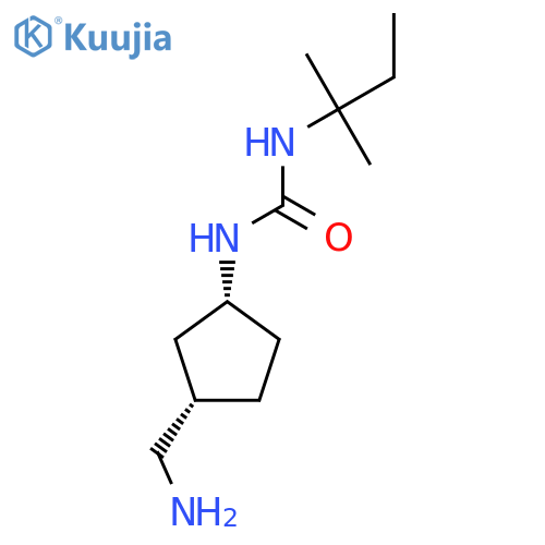 rac-1-[(1R,3S)-3-(aminomethyl)cyclopentyl]-3-(2-methylbutan-2-yl)urea structure