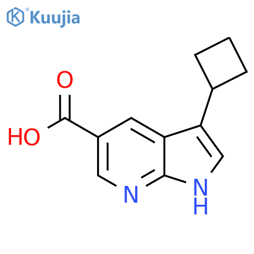 3-cyclobutyl-1H-pyrrolo[2,3-b]pyridine-5-carboxylic acid structure