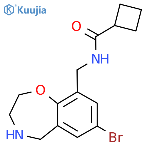 N-[(7-bromo-2,3,4,5-tetrahydro-1,4-benzoxazepin-9-yl)methyl]cyclobutanecarboxamide structure