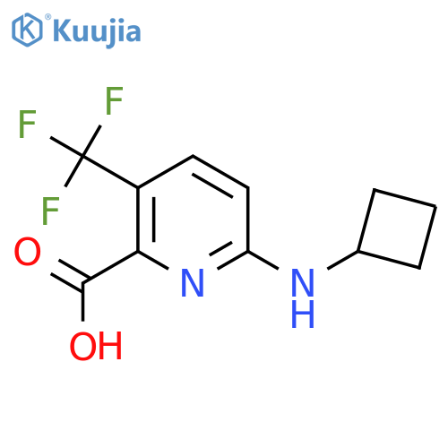 6-(cyclobutylamino)-3-(trifluoromethyl)pyridine-2-carboxylic acid structure