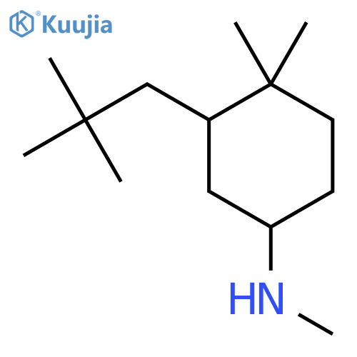 3-(2,2-dimethylpropyl)-N,4,4-trimethylcyclohexan-1-amine structure