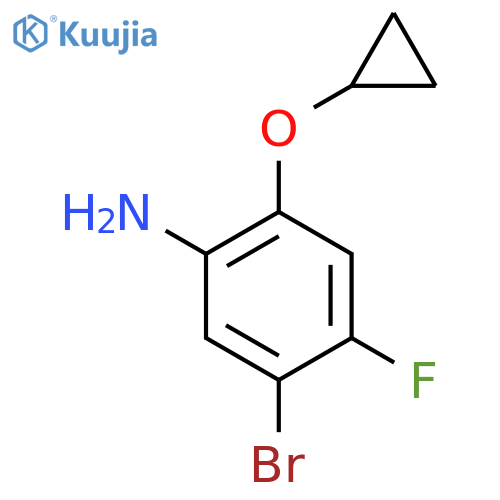 5-bromo-2-cyclopropoxy-4-fluoroaniline structure