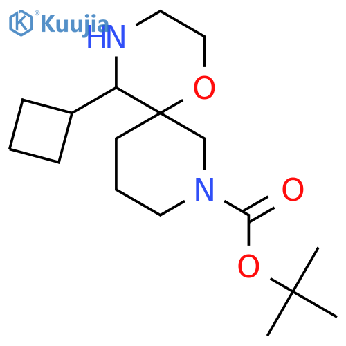 tert-butyl 5-cyclobutyl-1-oxa-4,8-diazaspiro5.5undecane-8-carboxylate structure