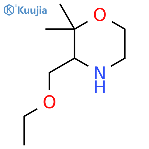 3-(ethoxymethyl)-2,2-dimethylmorpholine structure