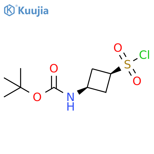 rac-tert-butyl N-(1s,3s)-3-(chlorosulfonyl)cyclobutylcarbamate structure