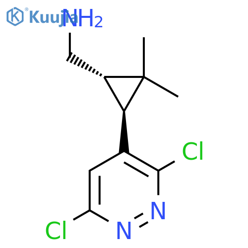 rac-(1R,3R)-3-(3,6-dichloropyridazin-4-yl)-2,2-dimethylcyclopropylmethanamine structure