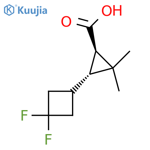 rac-(1R,3R)-3-(3,3-difluorocyclobutyl)-2,2-dimethylcyclopropane-1-carboxylic acid structure