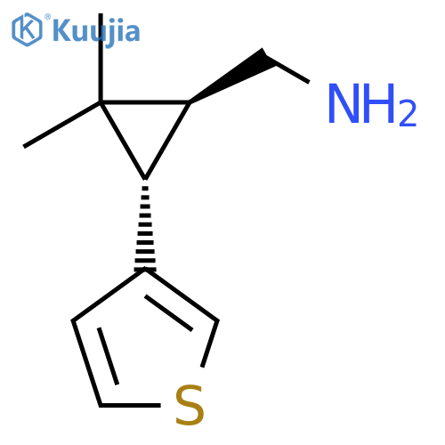 rac-(1R,3R)-2,2-dimethyl-3-(thiophen-3-yl)cyclopropylmethanamine structure