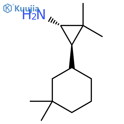 rac-(1R,3S)-3-(3,3-dimethylcyclohexyl)-2,2-dimethylcyclopropan-1-amine structure
