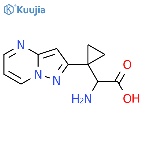 2-amino-2-(1-{pyrazolo1,5-apyrimidin-2-yl}cyclopropyl)acetic acid structure